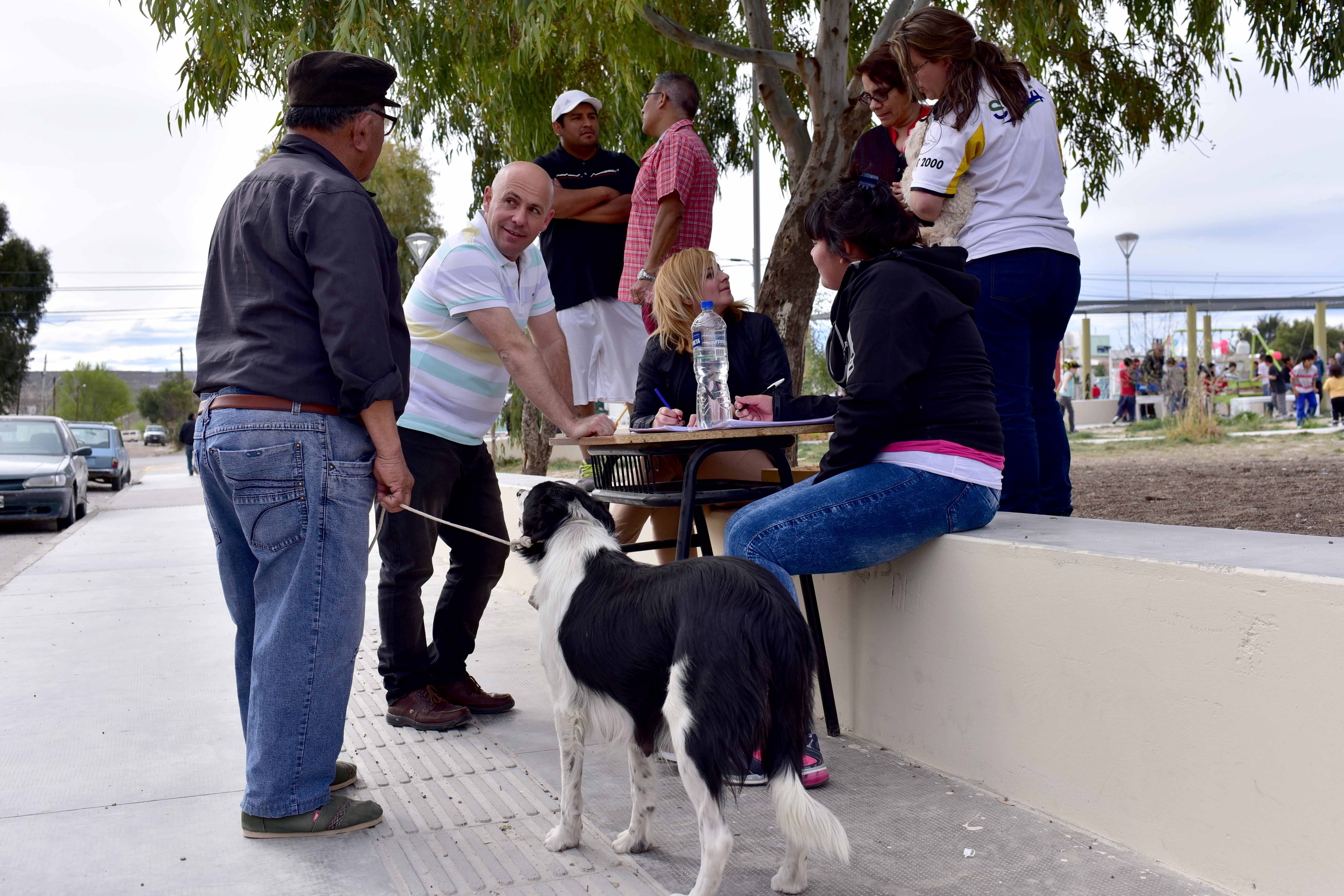 MÁS DE 150 MASCOTAS ATENDIDAS EN CAMPAÑAS DE VACUNACIÓN Y CASTRACIÓN EL FIN DE SEMANA