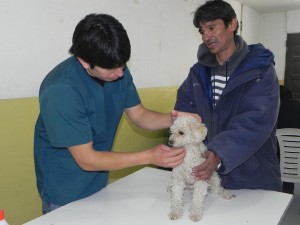 EXITOSA CAMPAÑA DE VACUNACIÓN EN EL BARRIO RUCAL HUE