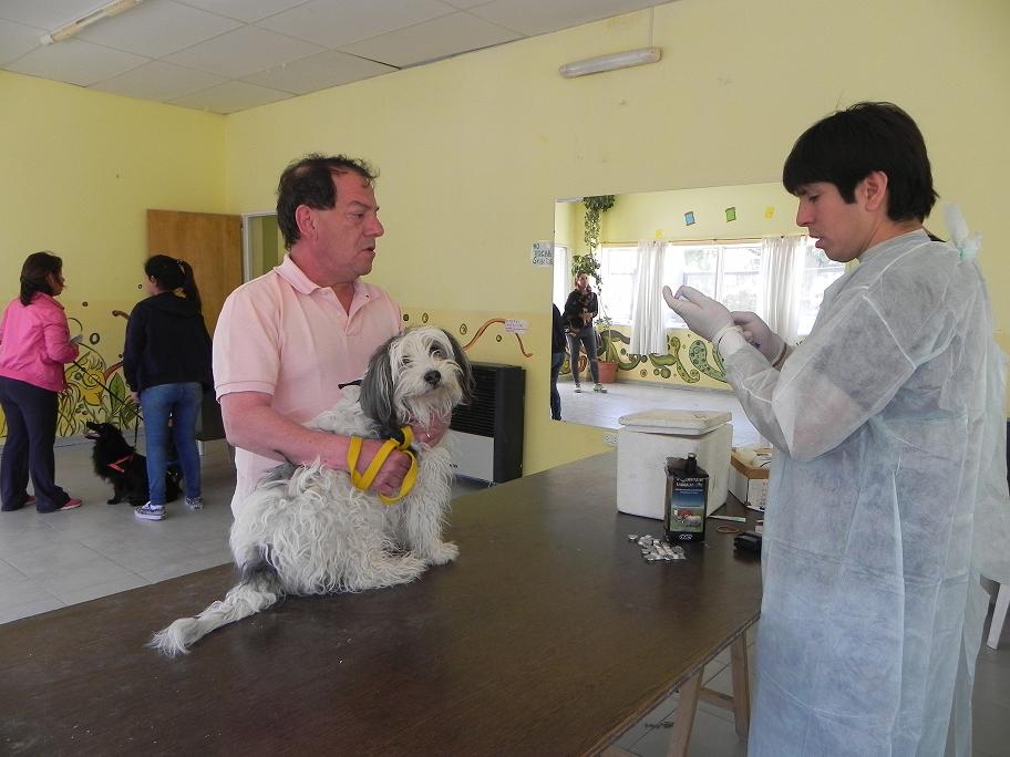 EXITOSA CAMPAÑA DE VACUNACIÓN Y CASTRACIÓN PARA MASCOTAS