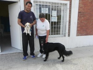 SE REALIZÓ CAMPAÑA DE VACUNACIÓN GRATUITA PARA MASCOTAS