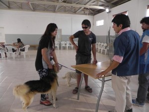 COMENZÓ LA CAMPAÑA BARRIAL DE VACUNACIÓN GRATUITA PARA MASCOTAS