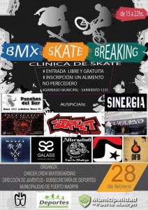 CLÍNICA DE SKATE ESTE DOMINGO 28