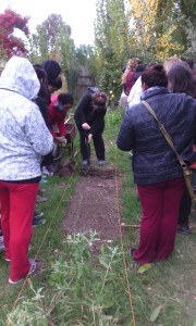 COMIENZO EXITOSO DEL CURSO DE HUERTA ESCOLAR PARA DOCENTES
