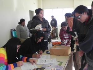 REALIZAN CAMPAÑA DE VACUNACIÓN GRATUITA PARA MASCOTAS