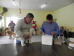 REALIZARON CAMPAÑA DE VACUNACIÓN GRATUITA PARA MASCOTAS EN EL BARRIO GOBERNADOR GALINA