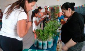 HARÁN FERIA DE INTERCAMBIO DE PLANTAS Y SEMILLAS EN EL CENTRO CULTURAL SAN MIGUEL