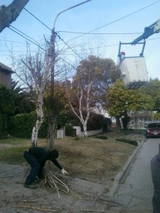 EMBELLECIMIENTO DE LA CIUDAD DE CARA AL FIN DE SEMANA LARGO