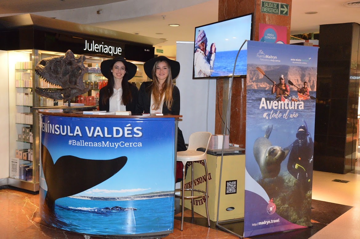 PUERTO MADRYN PRESENTE EN LA GIRA NACIONAL DE BALLENAS