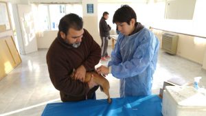 MÁS DE 100 MASCOTAS FUERON ATENDIDAS DE MANERA GRATUITA EL FIN DE SEMANA