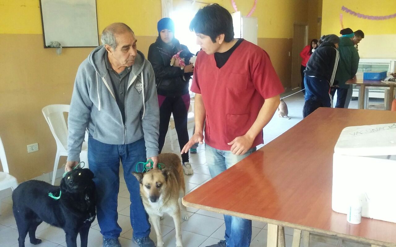 REALIZARÁN CAMPAÑA DE CASTRACIÓN GRATUITA EN EL CLUB 630