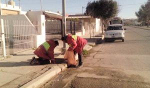 INTENSAS TAREAS DEL COEM ANTE POSIBLES ADVERSIDADES CLIMATOLÓGICAS