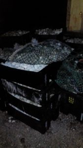 SECUESTRAN IMPORTANTE CANTIDAD DE MERCADERÍA EN OPERATIVO BROMATOLÓGICO