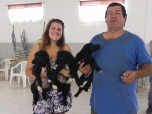 CONVOCAN A LA PRÓXIMA CAMPAÑA DE VACUNACIÓN GRATUITA PARA MASCOTAS