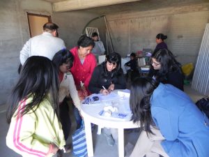 CAMPAÑA GRATUITA DE CASTRACIÓN EN EL BARRIO ROCA