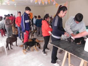 REALIZARON CAMPAÑA DE TENENCIA RESPONSABLE DE ANIMALES Y VACUNACIÓN GRATUITA