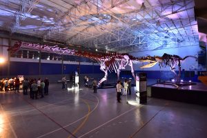 DINOSAURIO: UNA MUESTRA DIFERENTE