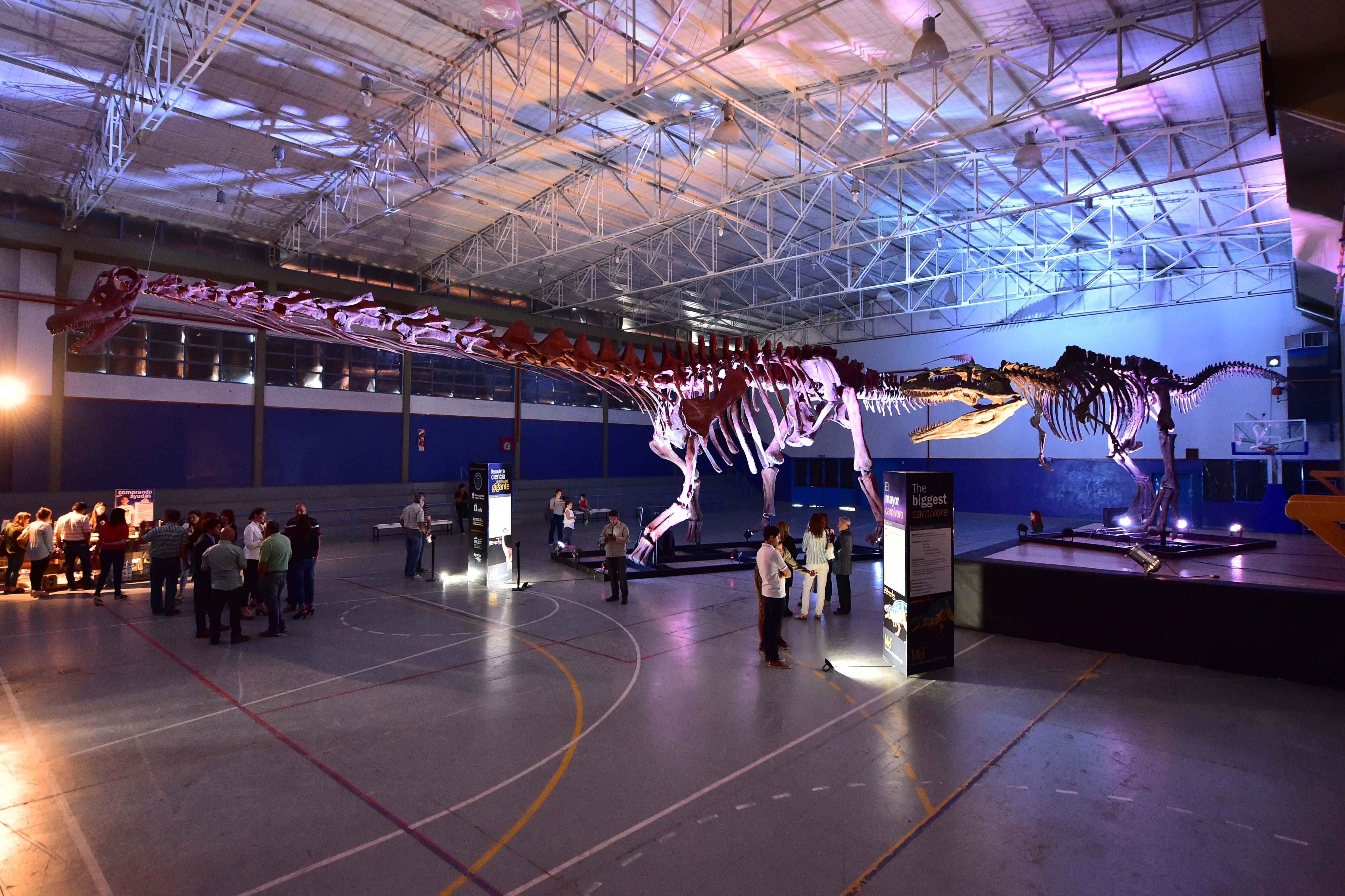 DINOSAURIO: UNA MUESTRA DIFERENTE