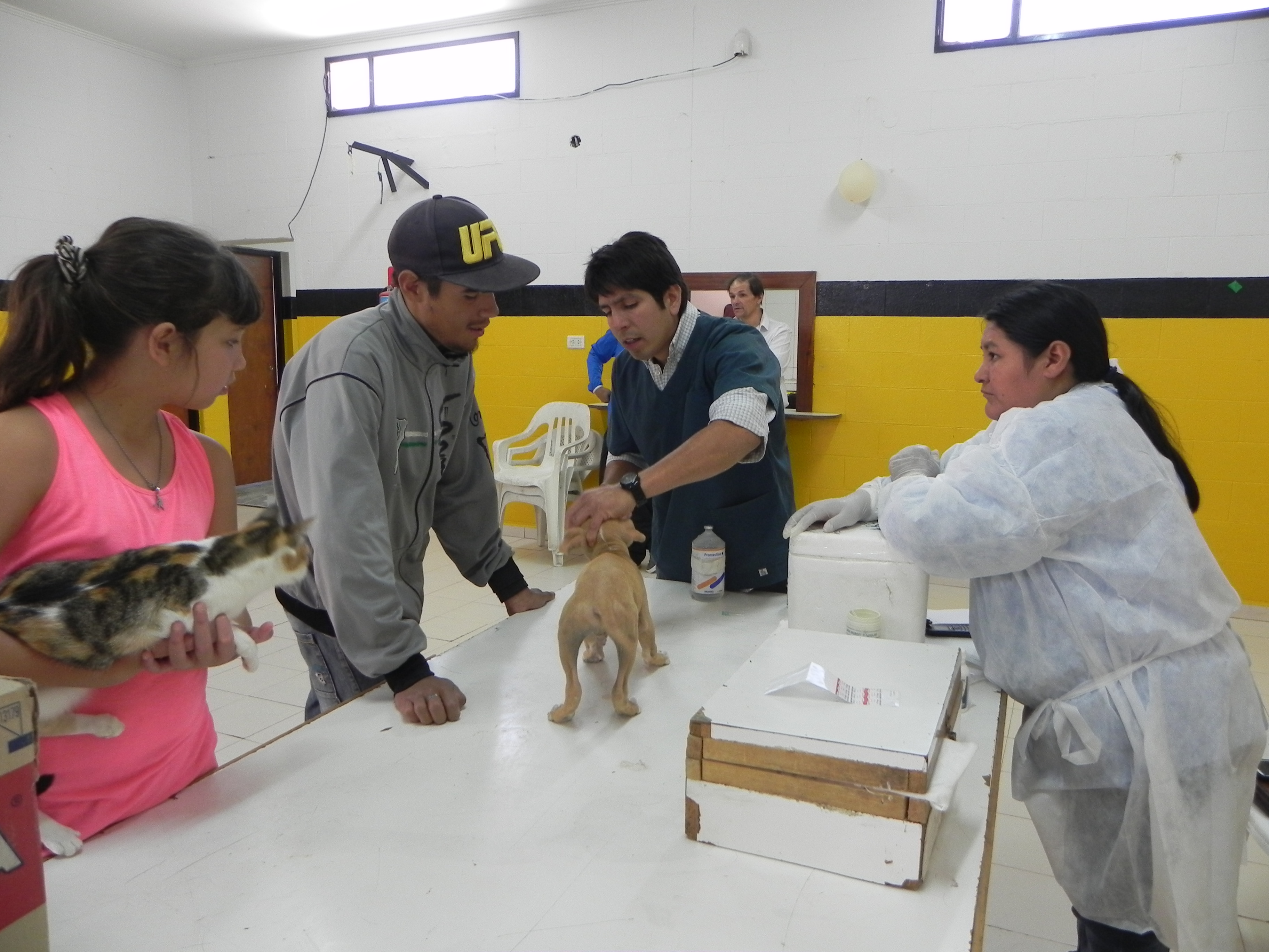 EXITOSA CAMPAÑA DE VACUNACIÓN GRATUITA PARA MASCOTAS EN EL BARRIO RUCA HUE