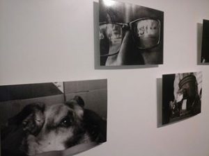 QUEDÓ INAUGURADA LA MUESTRA “COSA DE TODOS LOS DÍAS”
