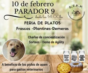 FERIA DE PLATOS EN EL PARADOR MUNICIPAL