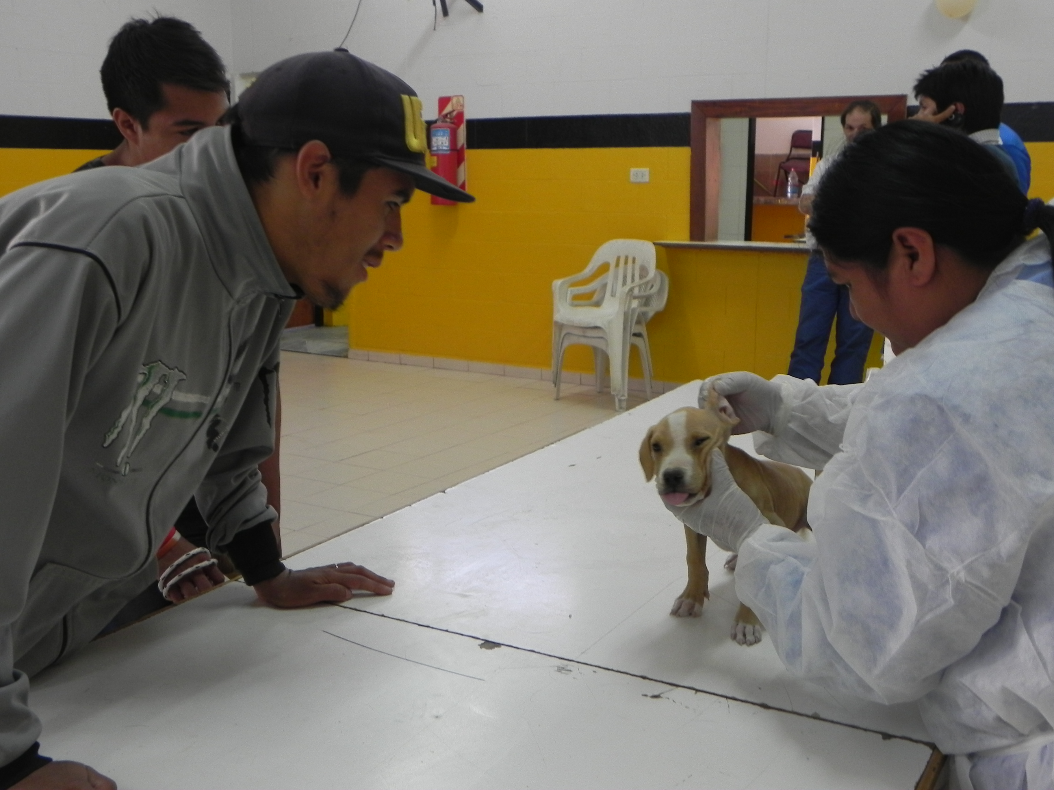 CAMPAÑA DE VACUNACIÓN GRATUITA PARA MASCOTAS EN EL BARRIO PERÓN