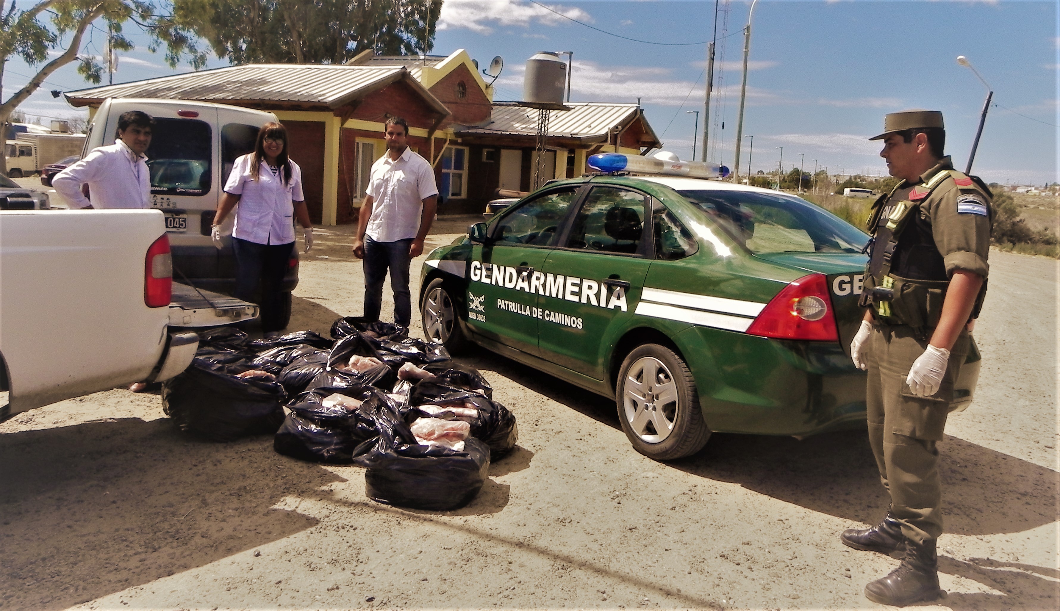 EL MUNICIPIO, CON GENDARMERÍA Y PESCA DE PROVINCIA, SECUESTRÓ 350 KILOS DE LANGOSTINOS