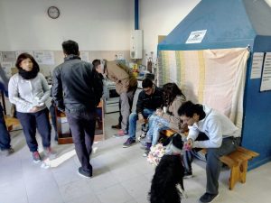 EXITOSAS CAMPAÑAS DE VACUNACIÓN Y CASTRACIÓN GRATUITA PARA MASCOTAS