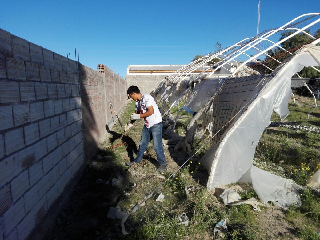 REALIZAN TRABAJOS DE EMBELLECIMIENTOS EN ESPACIOS PÚBLICOS