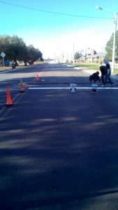 INTENSAS TAREAS EN REPARACIÓN Y REEMPLAZO DE REDUCTORES DE VELOCIDAD