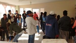 PRÓXIMAS CAMPAÑAS DE VACUNACIÓN GRATUITA PARA MASCOTAS