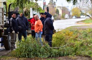 SASTRE SUPERVISÓ TAREAS DE FORESTACIÓN EN LA CIUDAD