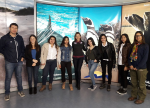 PRÁCTICAS PROFESIONALIZANTES EN LA SECRETARÍA DE TURISMO