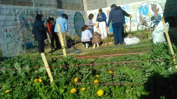 NUEVO ENCUENTRO DE “INTERCAMBIO DE SEMILLAS, PLANTAS Y SABERES”