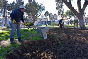 TAREAS DE EMBELLECIMIENTO EN LA PLAZA SAN MARTÍN