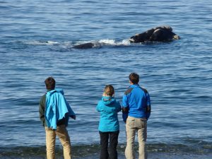 MADRYN SE PREPARA PARA EL FIN DE SEMANA LARGO DE OCTUBRE 