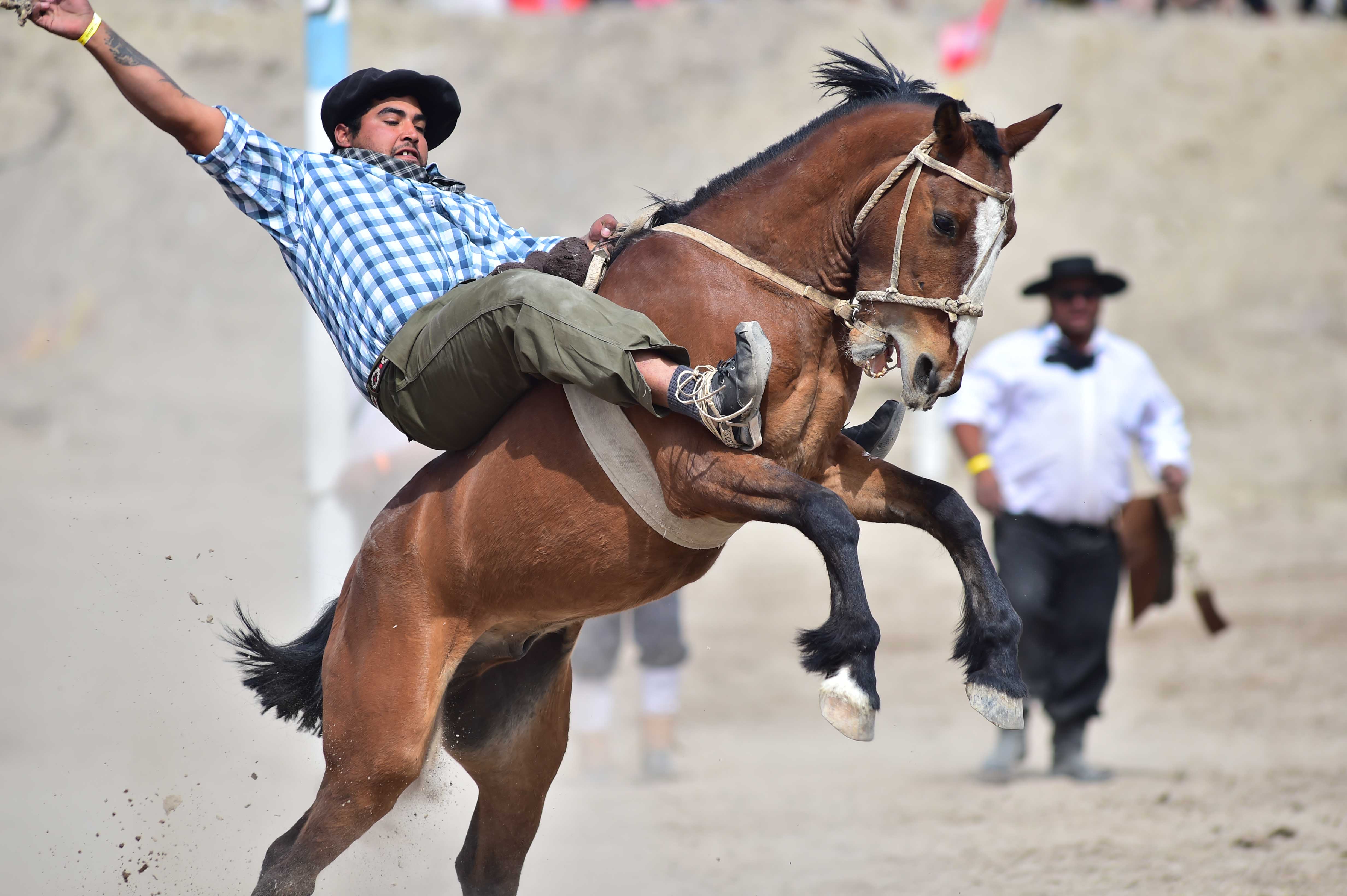 FIESTA NACIONAL DEL CORDERO: POR PRIMERA VEZ SE ELEGIRÁ AL “MEJOR EMPRENDADO” QUE PARTICIPEN DEL DESFILE GAUCHO 
