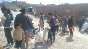 EXITOSA CAMPAÑA DE VACUNACIÓN DE MASCOTAS Y CONCIENTIZACIÓN SOBRE TENENCIA RESPONSABLE