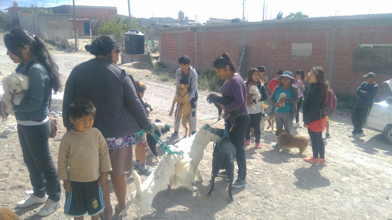 EXITOSA CAMPAÑA DE VACUNACIÓN DE MASCOTAS Y CONCIENTIZACIÓN SOBRE TENENCIA RESPONSABLE