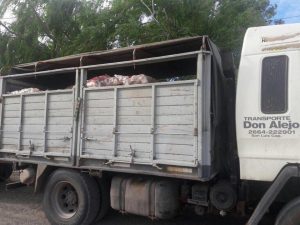 SECUESTRAN IMPORTANTE CANTIDAD DE MERCADERÍA EN OPERATIVO BROMATOLÓGICO