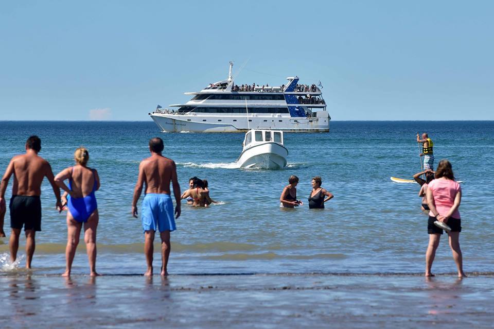 LA TEMPORADA DE VERANO SE LANZA EN MADRYN: SASTRE Y ARCIONI ENCABEZARÁN EL ACTO OFICIAL