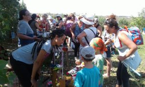VERANO 2018 EN MADRYN: TURISTAS Y RESIDENTES SE SUMAN CADA VEZ MÁS A LAS PROPUESTAS GRATUITAS QUE OFRECE EL MUNICIPIO