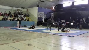 EL JIUJITSU PATAGÓNICO BRILLÓ EN MADRYN