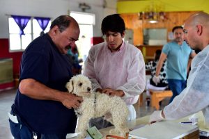 MASCOTAS SALUDABLES: MAÑANA HABRÁ CASTRACIONES GRATUITAS 