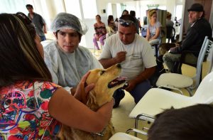 MAÑANA HABRÁ CAMPAÑA DE CASTRACIÓN GRATUITA EN SOLANA DE LA PATAGONIA 