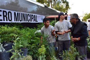 ¡EL VIVERO MUNICIPAL TE ESPERA EN LA XXIII FIESTA NACIONAL DEL CORDERO!