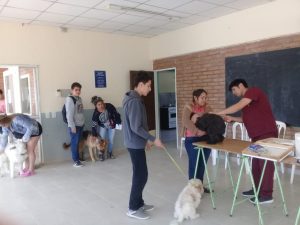 CONTINÚAN LAS CAMPAÑAS GRATUITAS PARA MASCOTAS EN LOS BARRIOS
