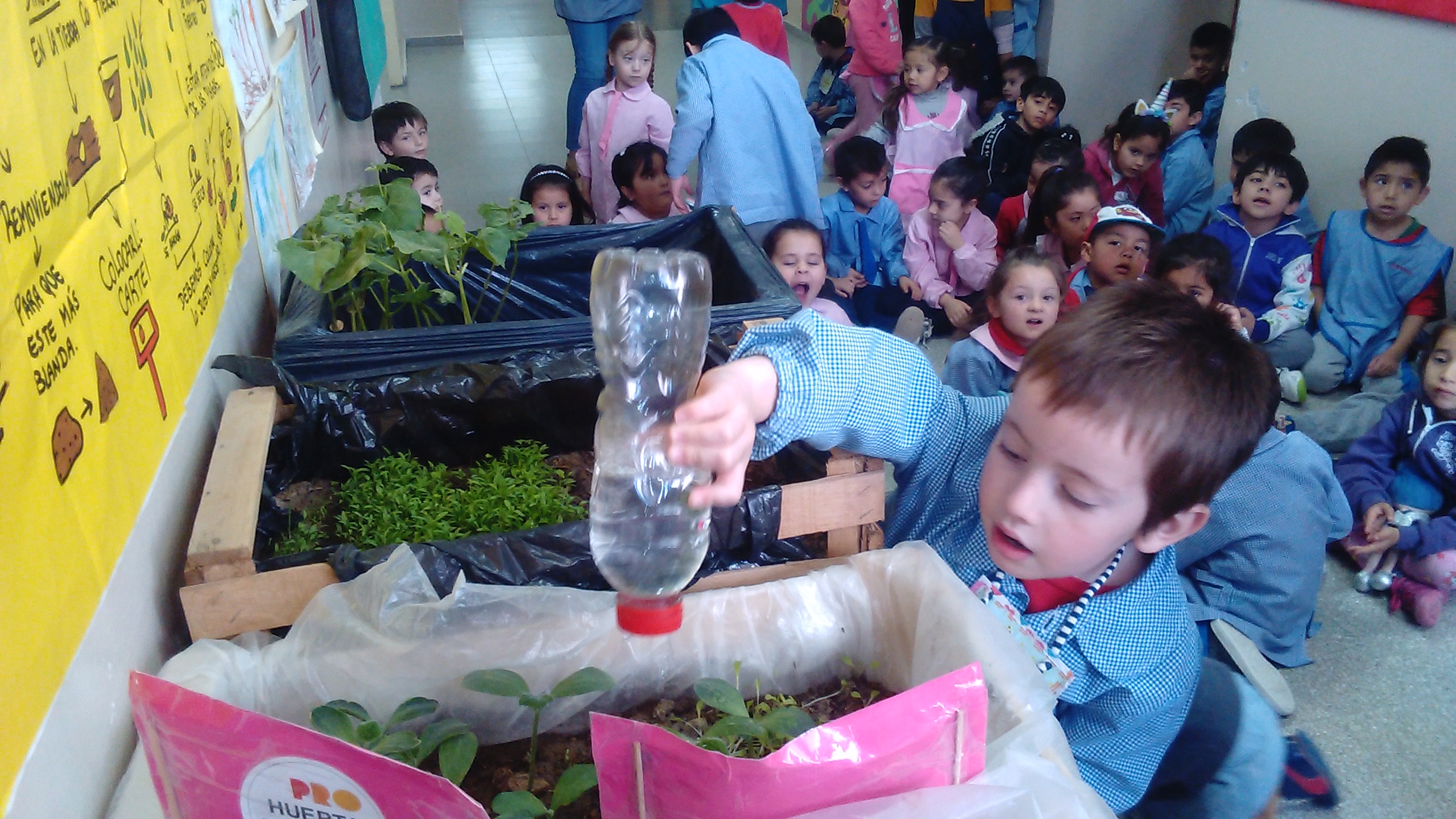 LOS JARDINES DE INFANTES REALIZARON SUS MUESTRAS DE HUERTAS 