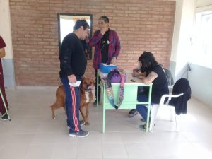 CONTINÚAN LAS CAMPAÑAS GRATUITAS PARA MASCOTAS EN LOS BARRIOS