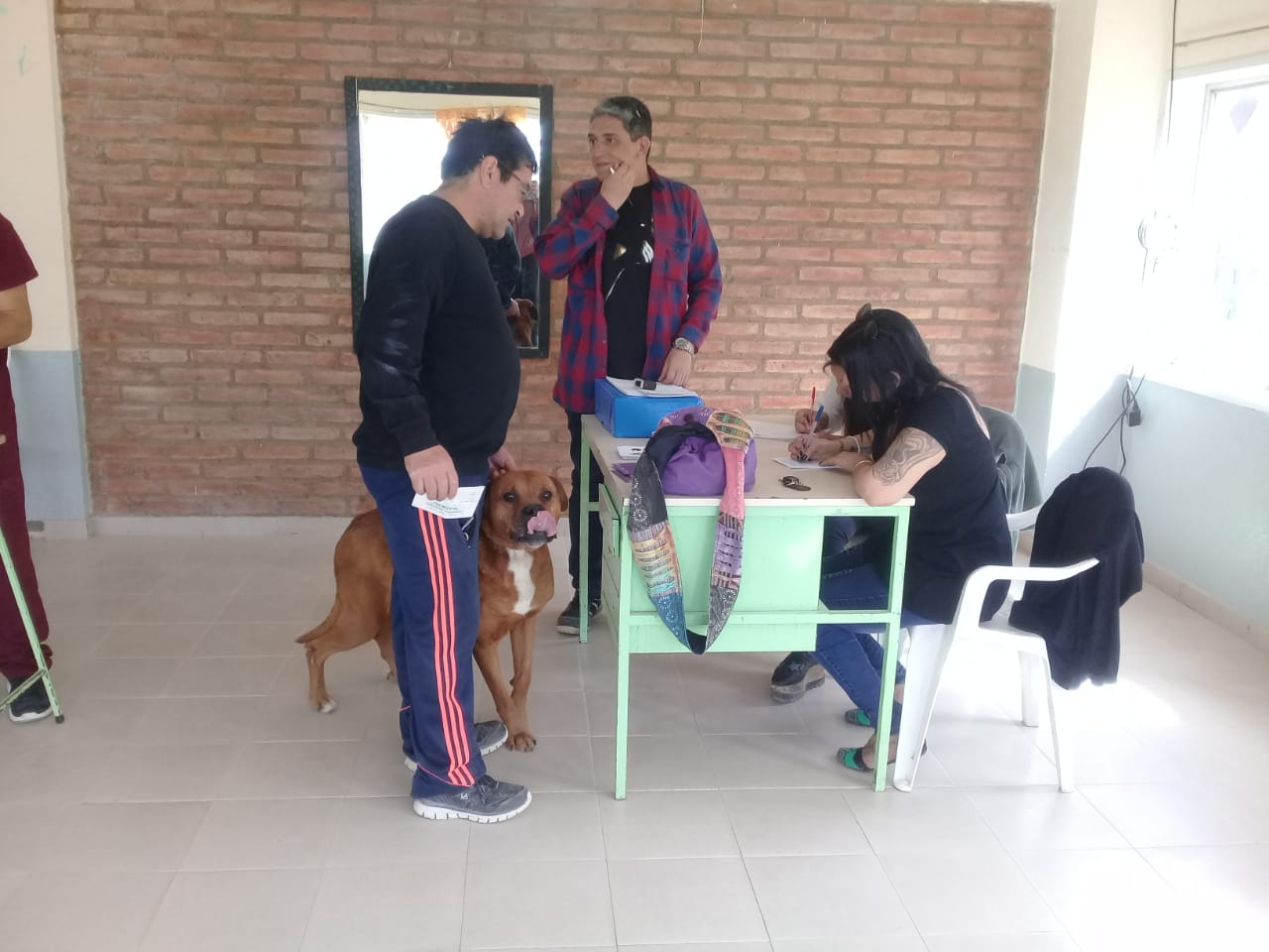 CONTINÚAN LAS CAMPAÑAS GRATUITAS PARA MASCOTAS EN LOS BARRIOS