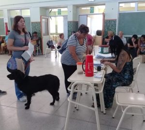 EXITOSA CAMPAÑA MASIVA DE CASTRACIÓN PARA MASCOTAS